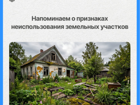 Дачный сезон идет полным ходом, а это значит, что самое время напомнить о признаках неиспользования земельных участков..